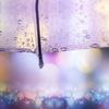 水东流叶知秋