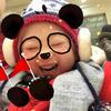 南部之星仁