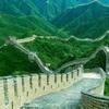 杀河马