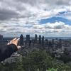狮子在旅途