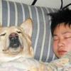 朋克少年梅克斯