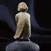 独特的玫瑰