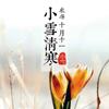 神才公子