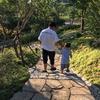 高琼风