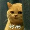 曾小花
