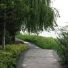 yelingjun