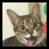 Eric__