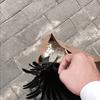 CR7丶vancoo