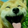 大狗牌警长