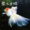 碧水金鳞