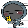 飞影BoBo