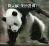 秘制牛排