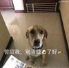 Marco顾