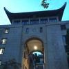 球迷18200975
