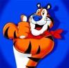 TigerTT