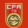 中国国足第12人