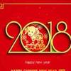 小猪儿2