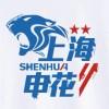 建西本阿尔法