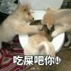 矢志不