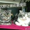 不忘初心方得始终