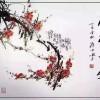 兔子爱老虎
