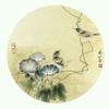 老球迷1221