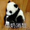 枯燥的小日子