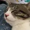小林克己