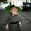 回首萧瑟