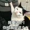 Doctor_Pei_