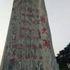 不懂球的小王子