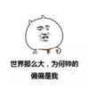 梦里蔷薇开成海