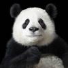桂工前方网友