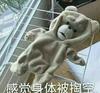 望海楼内德维德