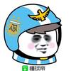早晨的虫子