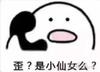 都会踢