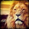 黄前进