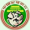 虎皮hupi