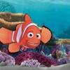 李一一样