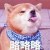 睿角