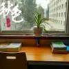 月儿高高挂