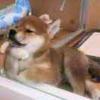 刘____