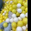 磊少爷