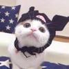 咋滴啦不服啊