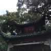 皮尔卡巴斯基