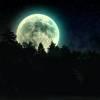 球迷19175748