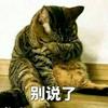 实事求是客观公正