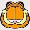 pippo牙