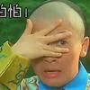 球迷28101599