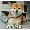大自然的金融搬运工